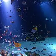 あお　✿⁠ 即購入大歓迎  aoshopの画像