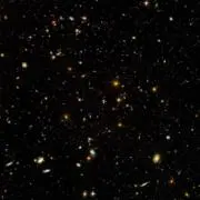 Tiamo