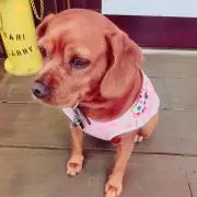 ひかりんの画像