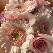 whiteの画像