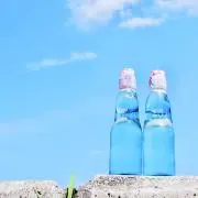 よろしくお願いします！