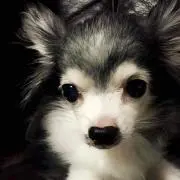 なつ