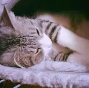ゆーやん❤