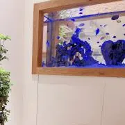 Johnの画像