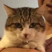 きんぴら^-^