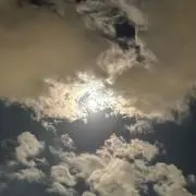 ar