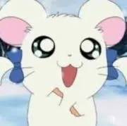 きなこの画像