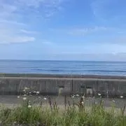 かなちゃんの画像