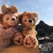 みーの画像