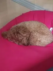 まんまる