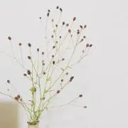 showerの画像