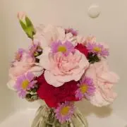 よっちの画像