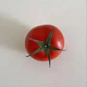 とまとの画像