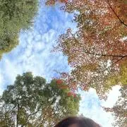 にこにこの画像