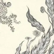 annの画像