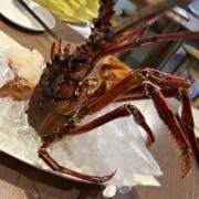 ザリガニの画像