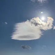 ワイワイ