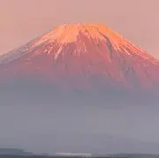 わたの画像
