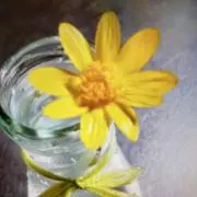 ☆*:.mg.:*☆プロフ一読よろしくの画像