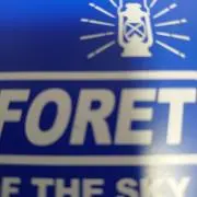 ずいの画像