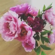 MMの画像