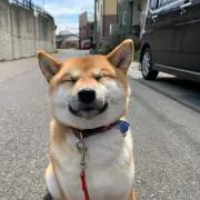 ありさ