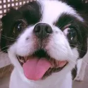 かなちやん