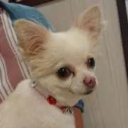 ミーコ☆