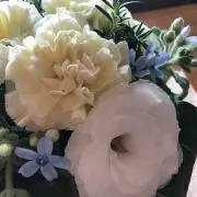 ♡よーこ♡