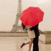 Cherryの画像