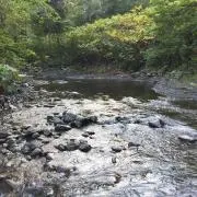 しまの