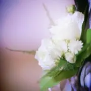 tanの画像