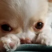 なお