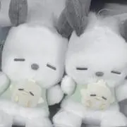 ぴよの画像