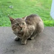 ゆちゃん