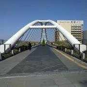 テラタトスクの画像