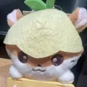 ymの画像