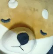 ウメの画像