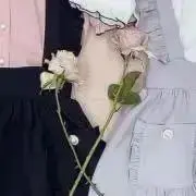 もかの画像