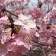 yuu  プロフ必読の画像