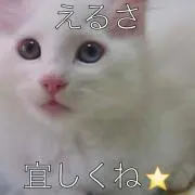 Elusa