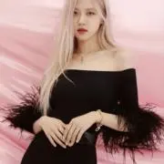 losierの画像