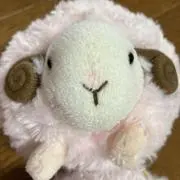 hanaの画像