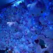 にゃん