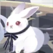 ゆき