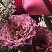 roseの画像