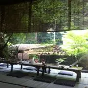 hachiの画像