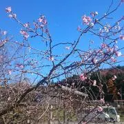 Image of たま即購入OKプロフ既読お願します。