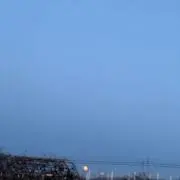 ミの画像