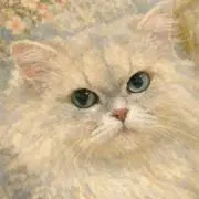 Nicoの画像